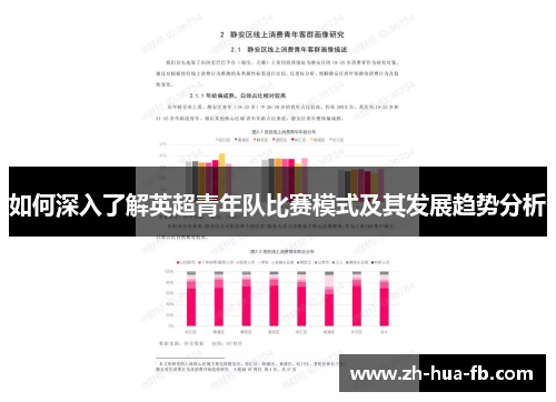 如何深入了解英超青年队比赛模式及其发展趋势分析