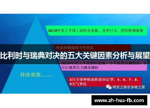 比利时与瑞典对决的五大关键因素分析与展望