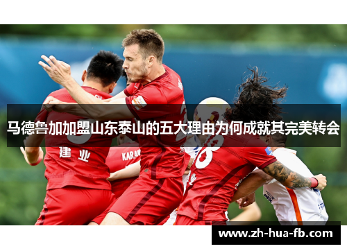 马德鲁加加盟山东泰山的五大理由为何成就其完美转会