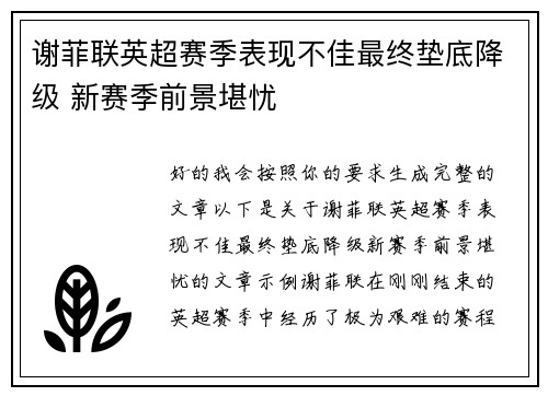 谢菲联英超赛季表现不佳最终垫底降级 新赛季前景堪忧