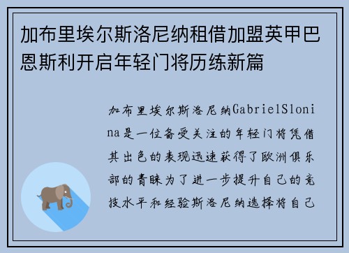 加布里埃尔斯洛尼纳租借加盟英甲巴恩斯利开启年轻门将历练新篇