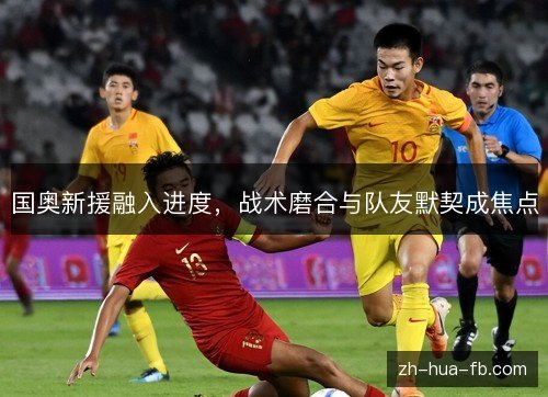 国奥新援融入进度，战术磨合与队友默契成焦点
